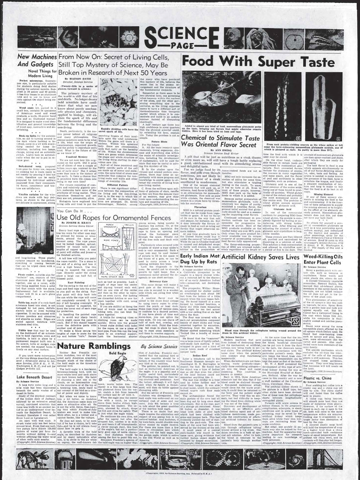 1966: Science News Letter becomes Science News - Society for Science Centennial