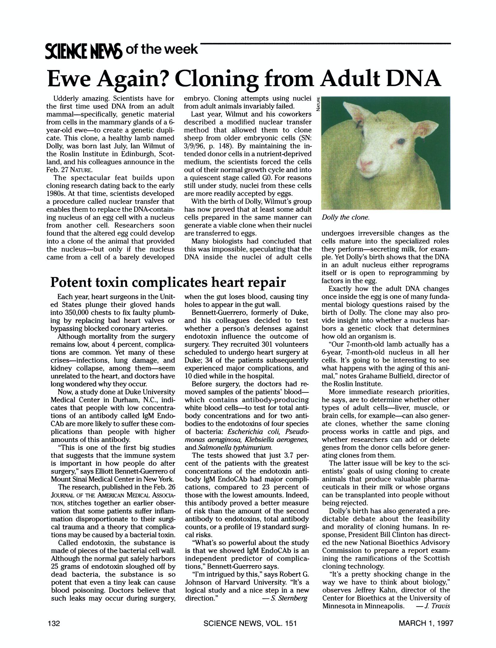 1997: Science News reports on Dolly the sheep - Society for Science  Centennial Project